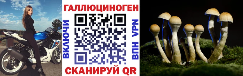 Псилоцибиновые грибы ЛСД  купить наркоту  hydra ссылки  Ворсма 